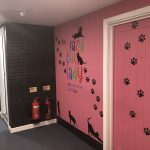 Chesterfield Escape Rooms The Crazy Cat Lady Exterior