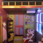 Bishop’s Stortford Escape Rooms The Crazy Cat Lady