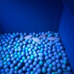 Sausage Surprise Ball Pit (sea)